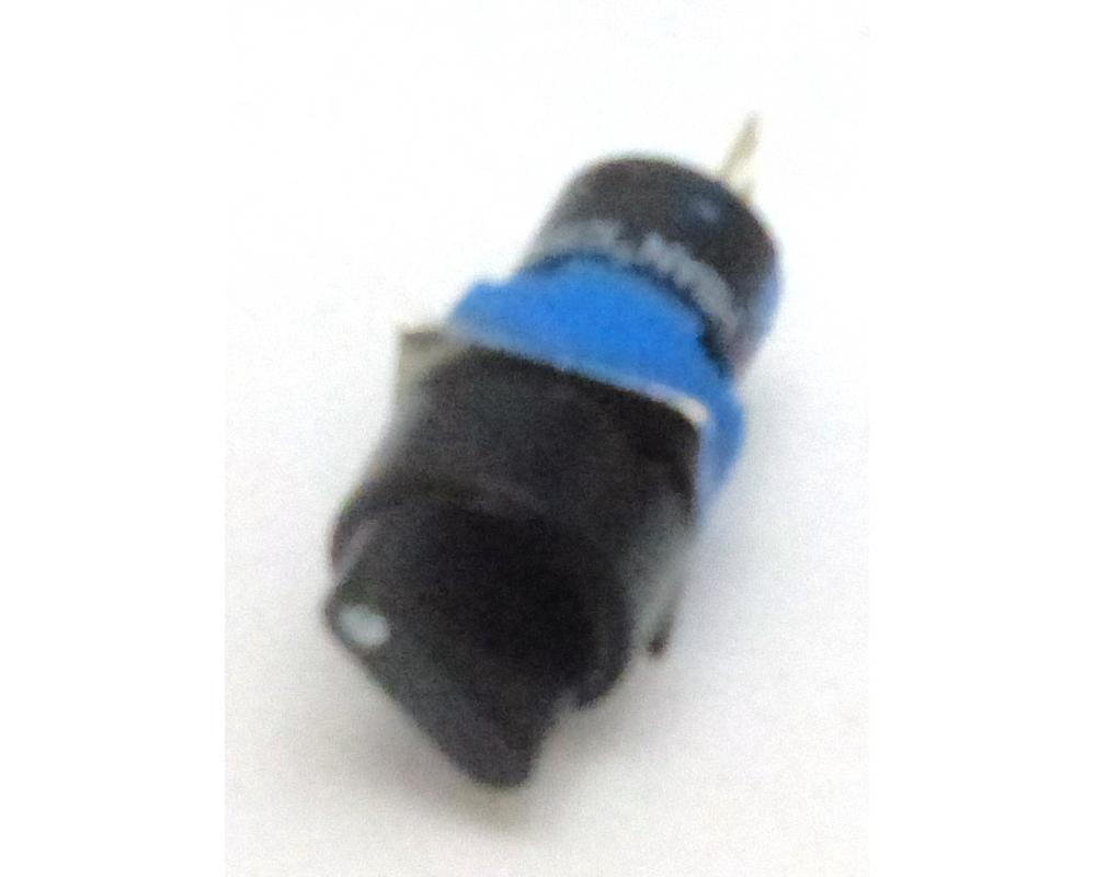 BEVD94551.JPG